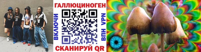 блэк спрут онион  Сосновоборск  Псилоцибиновые грибы MAGIC MUSHROOMS 